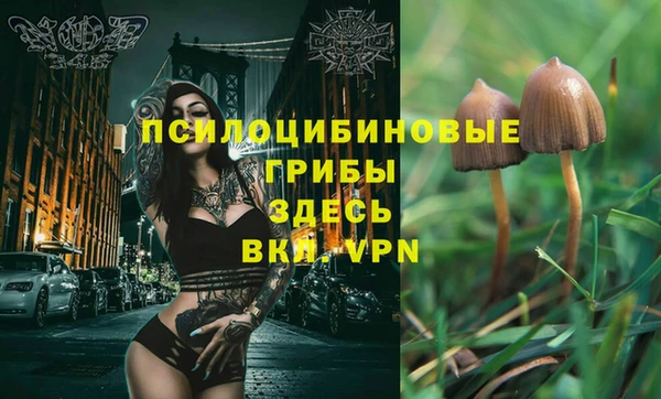прущий лед Нязепетровск