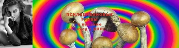 apvp Новокубанск